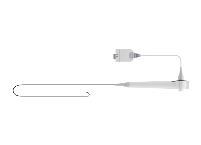 digital ureteroscope