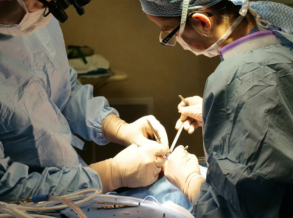 Applications des dispositifs d'endoscopie et des accessoires