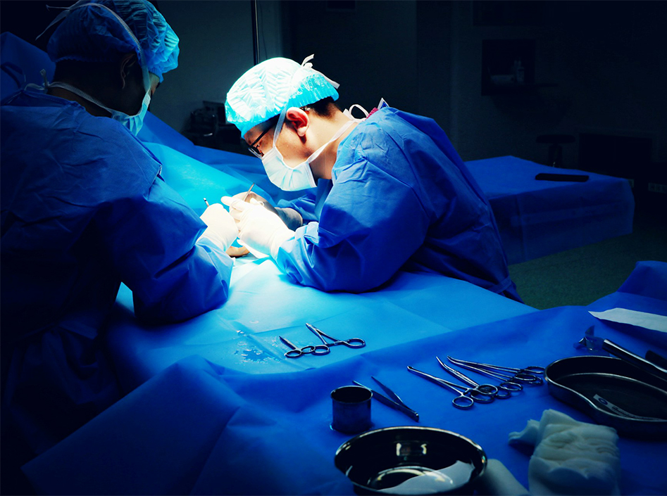 Applications de la plateforme d'endoscopie